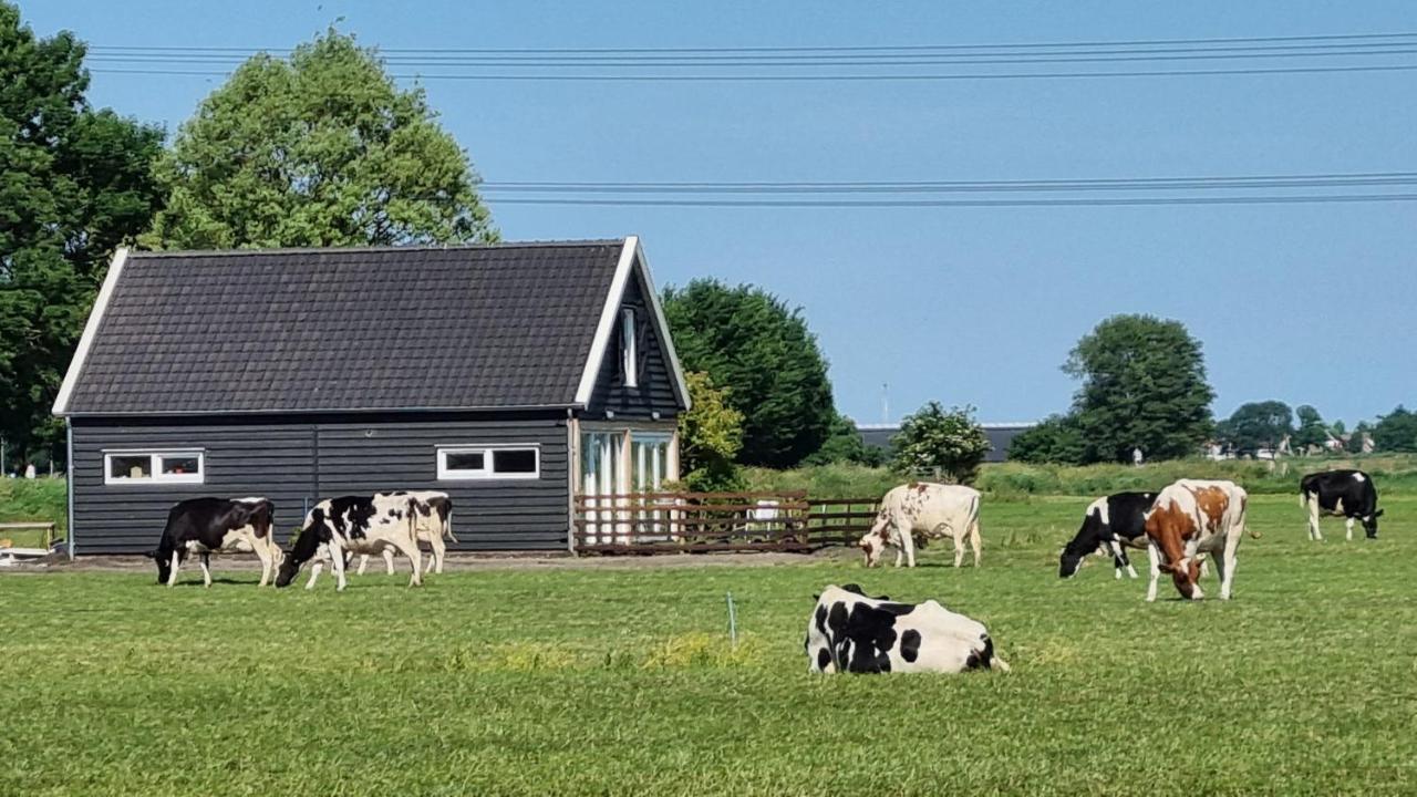 City Farmers Lodge, A Guesthouse With A Skyline View In Rural アムステルダム エクステリア 写真