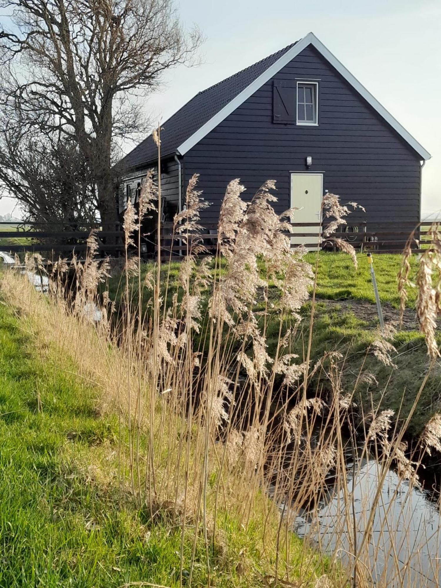 City Farmers Lodge, A Guesthouse With A Skyline View In Rural アムステルダム エクステリア 写真